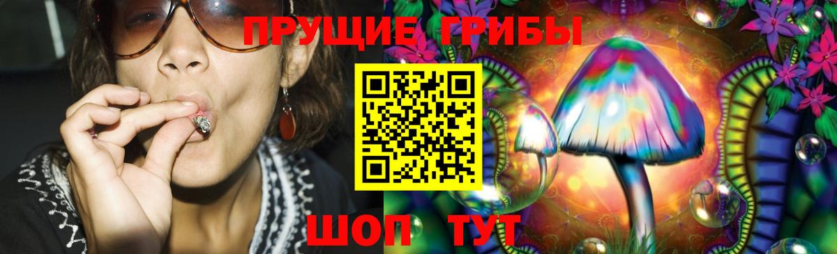 Псилоцибиновые грибы GOLDEN TEACHER Янаул
